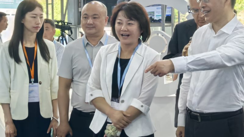成都刹车片批发价格差异背后的三个关键因素